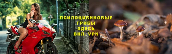 дмт Гусиноозёрск