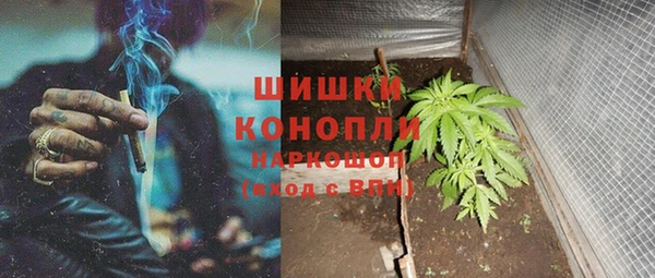 ALPHA-PVP Гусев