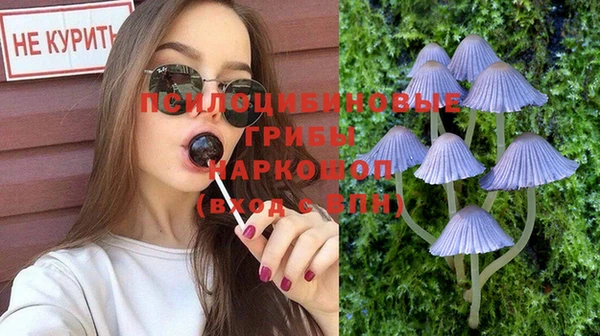 дмт Гусиноозёрск