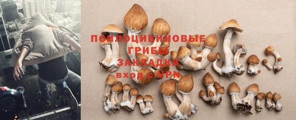 2c-b Гусь-Хрустальный