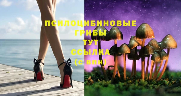 ALPHA-PVP Гусев