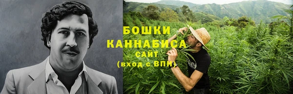 ALPHA-PVP Гусев