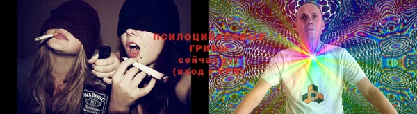 2c-b Гусь-Хрустальный